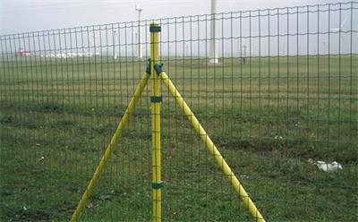 1765608494654249.jpg 106.jpg